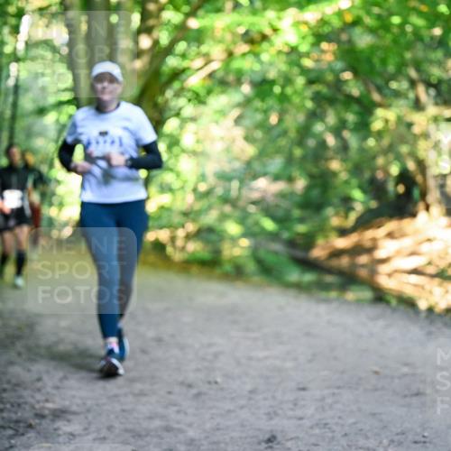 28.09.2025 - 33. Volkslauf durch das schöne Alstertal Dr. Thomas Lammeyer http://msf.ph/oto/8959317 28.09.2025 10:53:52 Laufen  meine-sportfotos.de