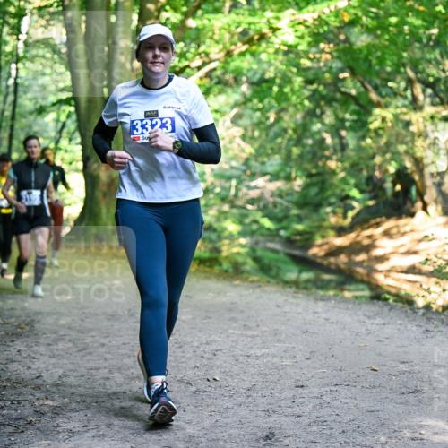 28.09.2025 - 33. Volkslauf durch das schöne Alstertal Dr. Thomas Lammeyer http://msf.ph/oto/8959324 28.09.2025 10:53:52 Laufen 3323 meine-sportfotos.de