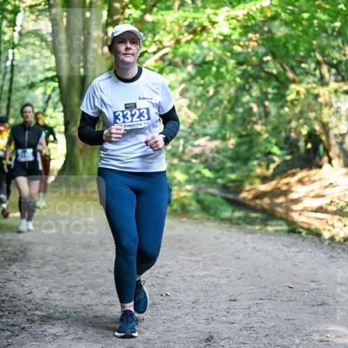 28.09.2025 - 33. Volkslauf durch das schöne Alstertal Dr. Thomas Lammeyer http://msf.ph/oto/8959326 28.09.2025 10:53:53 Laufen 3323 meine-sportfotos.de