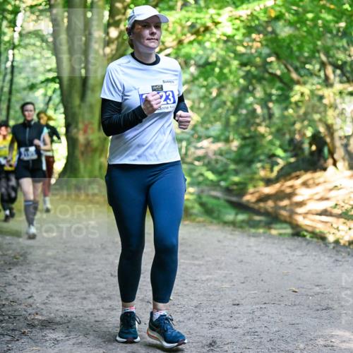 28.09.2025 - 33. Volkslauf durch das schöne Alstertal Dr. Thomas Lammeyer http://msf.ph/oto/8959328 28.09.2025 10:53:53 Laufen 23 meine-sportfotos.de
