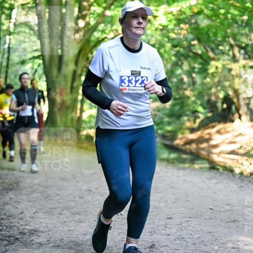 28.09.2025 - 33. Volkslauf durch das schöne Alstertal Dr. Thomas Lammeyer http://msf.ph/oto/8959332 28.09.2025 10:53:53 Laufen 3323 meine-sportfotos.de