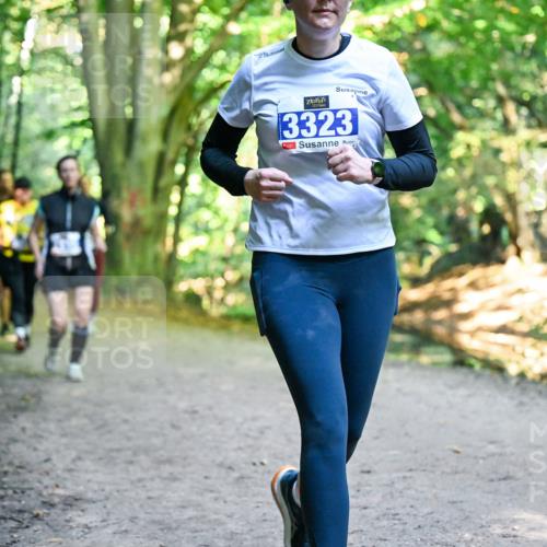 28.09.2025 - 33. Volkslauf durch das schöne Alstertal Dr. Thomas Lammeyer http://msf.ph/oto/8959335 28.09.2025 10:53:53 Laufen 3323 meine-sportfotos.de
