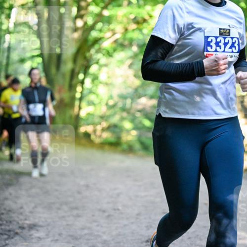 28.09.2025 - 33. Volkslauf durch das schöne Alstertal Dr. Thomas Lammeyer http://msf.ph/oto/8959339 28.09.2025 10:53:54 Laufen 3323 meine-sportfotos.de