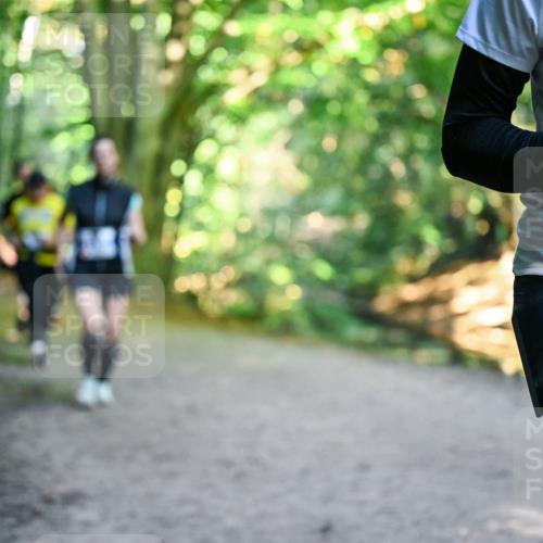 28.09.2025 - 33. Volkslauf durch das schöne Alstertal Dr. Thomas Lammeyer http://msf.ph/oto/8959344 28.09.2025 10:53:54 Laufen 33 meine-sportfotos.de