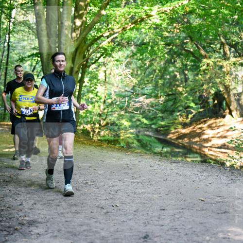 28.09.2025 - 33. Volkslauf durch das schöne Alstertal Dr. Thomas Lammeyer http://msf.ph/oto/8959346 28.09.2025 10:53:55 Laufen 3911 meine-sportfotos.de