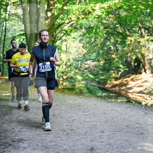 28.09.2025 - 33. Volkslauf durch das schöne Alstertal Dr. Thomas Lammeyer http://msf.ph/oto/8959351 28.09.2025 10:53:55 Laufen 3911, 3195 meine-sportfotos.de