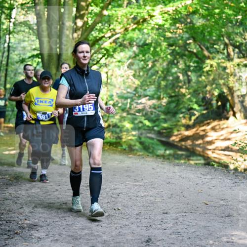 28.09.2025 - 33. Volkslauf durch das schöne Alstertal Dr. Thomas Lammeyer http://msf.ph/oto/8959355 28.09.2025 10:53:55 Laufen 3917, 3195 meine-sportfotos.de