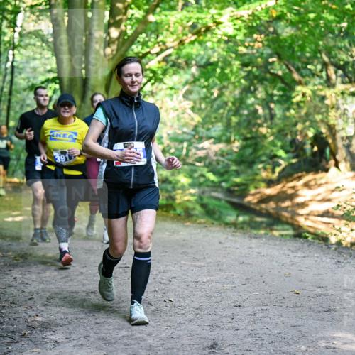 28.09.2025 - 33. Volkslauf durch das schöne Alstertal Dr. Thomas Lammeyer http://msf.ph/oto/8959356 28.09.2025 10:53:55 Laufen 391 meine-sportfotos.de