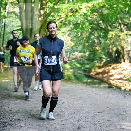 28.09.2025 - 33. Volkslauf durch das schöne Alstertal Dr. Thomas Lammeyer http://msf.ph/oto/8959358 28.09.2025 10:53:55 Laufen 3911, 3195 meine-sportfotos.de