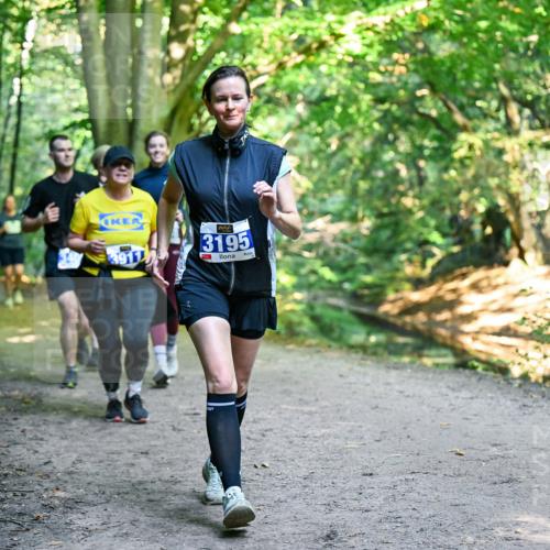 28.09.2025 - 33. Volkslauf durch das schöne Alstertal Dr. Thomas Lammeyer http://msf.ph/oto/8959360 28.09.2025 10:53:56 Laufen 3195 meine-sportfotos.de