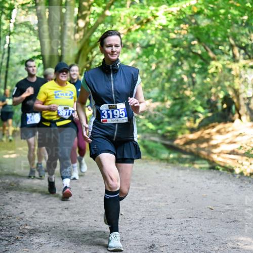 28.09.2025 - 33. Volkslauf durch das schöne Alstertal Dr. Thomas Lammeyer http://msf.ph/oto/8959362 28.09.2025 10:53:56 Laufen 3917, 3195 meine-sportfotos.de
