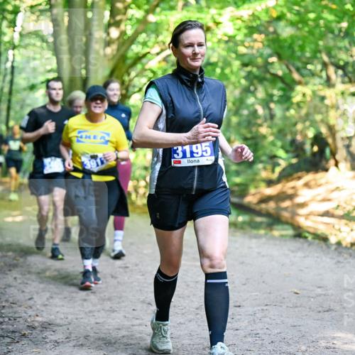 28.09.2025 - 33. Volkslauf durch das schöne Alstertal Dr. Thomas Lammeyer http://msf.ph/oto/8959365 28.09.2025 10:53:56 Laufen 391, 3195 meine-sportfotos.de