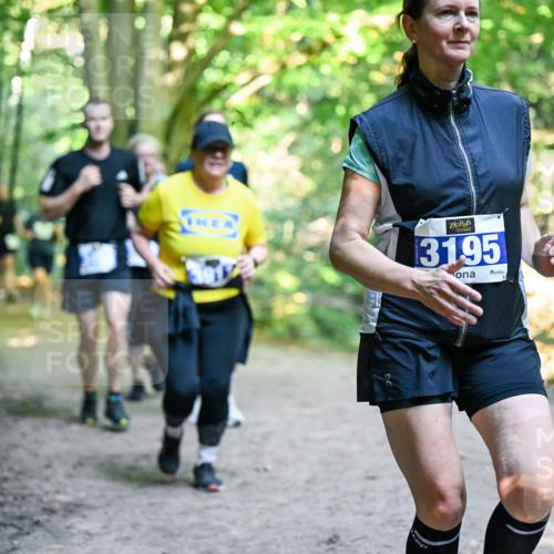 28.09.2025 - 33. Volkslauf durch das schöne Alstertal Dr. Thomas Lammeyer http://msf.ph/oto/8959369 28.09.2025 10:53:57 Laufen 3195 meine-sportfotos.de