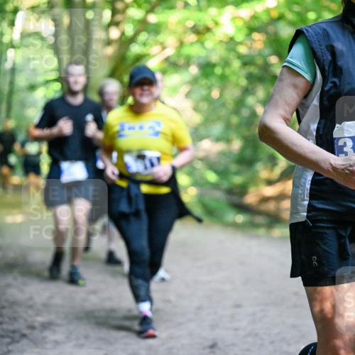 28.09.2025 - 33. Volkslauf durch das schöne Alstertal Dr. Thomas Lammeyer http://msf.ph/oto/8959371 28.09.2025 10:53:57 Laufen 3195 meine-sportfotos.de