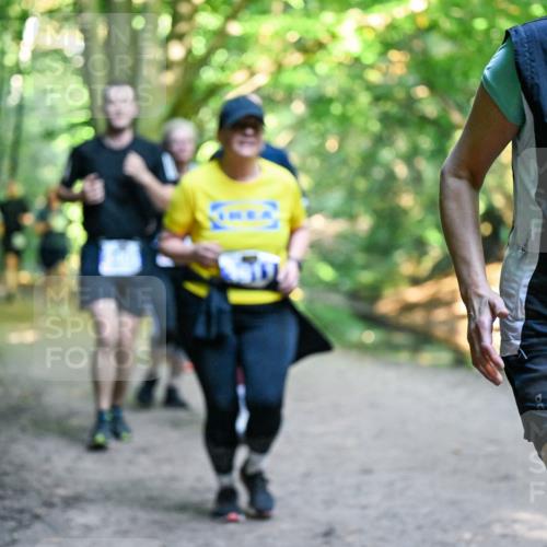 28.09.2025 - 33. Volkslauf durch das schöne Alstertal Dr. Thomas Lammeyer http://msf.ph/oto/8959373 28.09.2025 10:53:57 Laufen 3195 meine-sportfotos.de