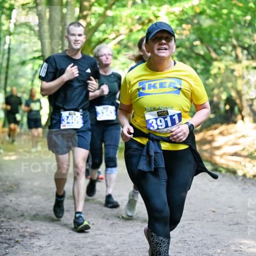 28.09.2025 - 33. Volkslauf durch das schöne Alstertal Dr. Thomas Lammeyer http://msf.ph/oto/8959376 28.09.2025 10:53:58 Laufen 3409, 3911 meine-sportfotos.de