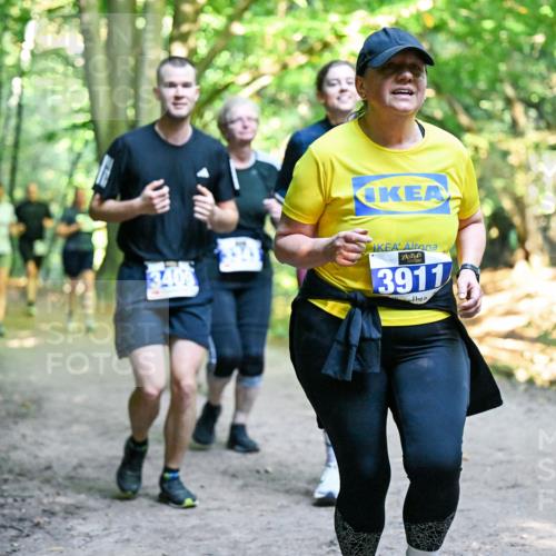 28.09.2025 - 33. Volkslauf durch das schöne Alstertal Dr. Thomas Lammeyer http://msf.ph/oto/8959377 28.09.2025 10:53:58 Laufen 3409, 3911 meine-sportfotos.de