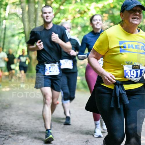 28.09.2025 - 33. Volkslauf durch das schöne Alstertal Dr. Thomas Lammeyer http://msf.ph/oto/8959380 28.09.2025 10:53:58 Laufen 3405, 3911 meine-sportfotos.de