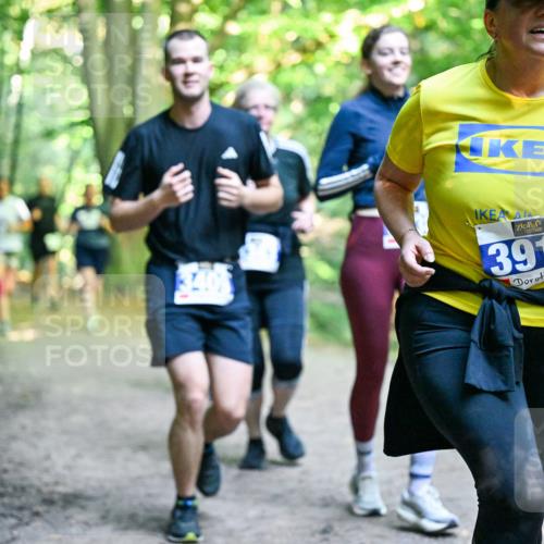28.09.2025 - 33. Volkslauf durch das schöne Alstertal Dr. Thomas Lammeyer http://msf.ph/oto/8959382 28.09.2025 10:53:58 Laufen 3911 meine-sportfotos.de