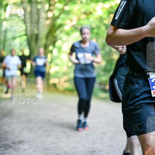 28.09.2025 - 33. Volkslauf durch das schöne Alstertal Dr. Thomas Lammeyer http://msf.ph/oto/8959391 28.09.2025 10:53:59 Laufen 340 meine-sportfotos.de
