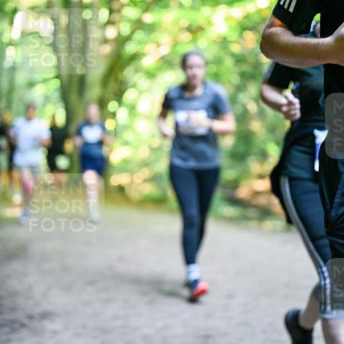 28.09.2025 - 33. Volkslauf durch das schöne Alstertal Dr. Thomas Lammeyer http://msf.ph/oto/8959392 28.09.2025 10:54:00 Laufen 1340 meine-sportfotos.de