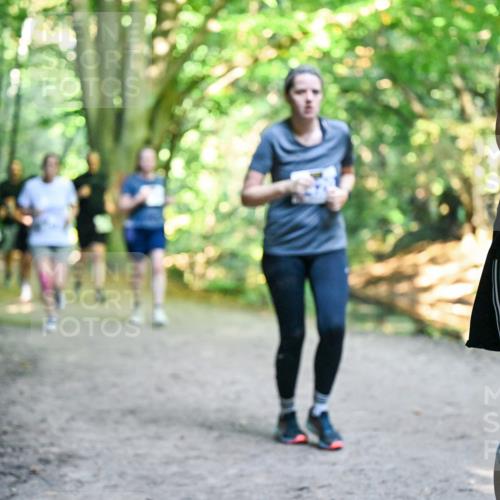 28.09.2025 - 33. Volkslauf durch das schöne Alstertal Dr. Thomas Lammeyer http://msf.ph/oto/8959394 28.09.2025 10:54:00 Laufen 334 meine-sportfotos.de