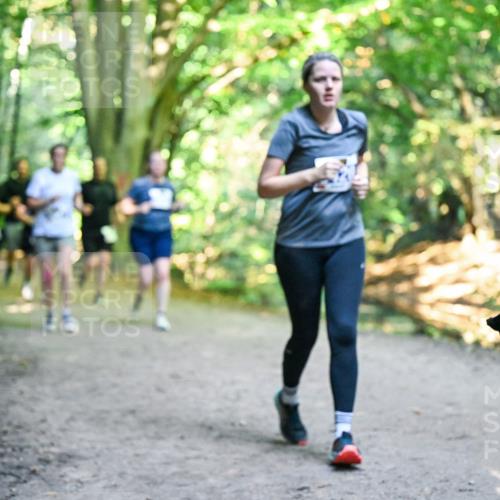 28.09.2025 - 33. Volkslauf durch das schöne Alstertal Dr. Thomas Lammeyer http://msf.ph/oto/8959396 28.09.2025 10:54:00 Laufen  meine-sportfotos.de