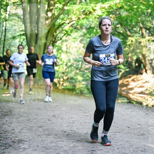 28.09.2025 - 33. Volkslauf durch das schöne Alstertal Dr. Thomas Lammeyer http://msf.ph/oto/8959398 28.09.2025 10:54:00 Laufen 342 meine-sportfotos.de