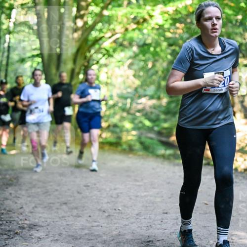 28.09.2025 - 33. Volkslauf durch das schöne Alstertal Dr. Thomas Lammeyer http://msf.ph/oto/8959399 28.09.2025 10:54:01 Laufen  meine-sportfotos.de