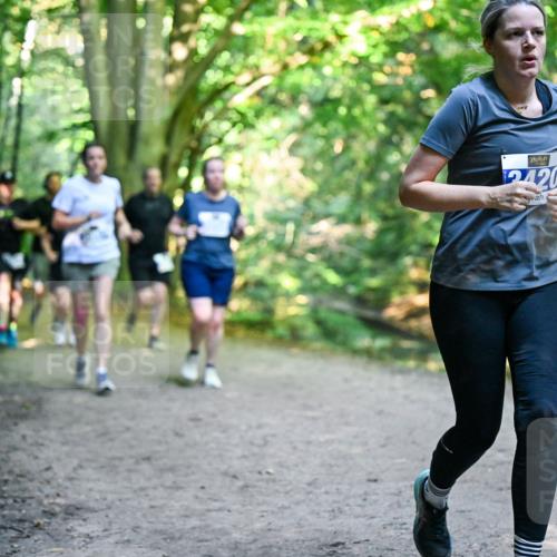 28.09.2025 - 33. Volkslauf durch das schöne Alstertal Dr. Thomas Lammeyer http://msf.ph/oto/8959401 28.09.2025 10:54:01 Laufen 2420 meine-sportfotos.de
