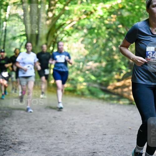 28.09.2025 - 33. Volkslauf durch das schöne Alstertal Dr. Thomas Lammeyer http://msf.ph/oto/8959402 28.09.2025 10:54:01 Laufen 34 meine-sportfotos.de