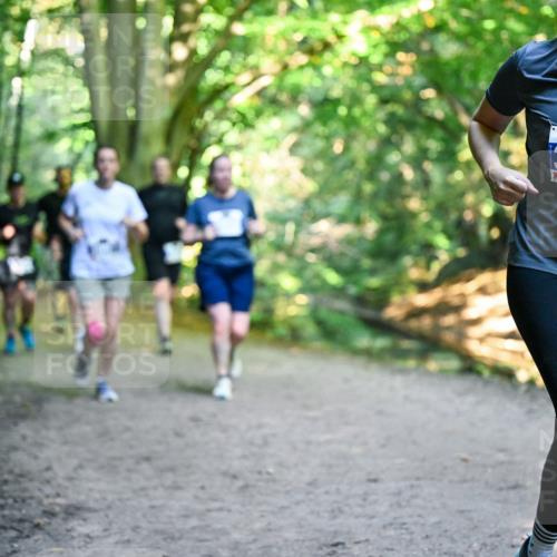 28.09.2025 - 33. Volkslauf durch das schöne Alstertal Dr. Thomas Lammeyer http://msf.ph/oto/8959403 28.09.2025 10:54:01 Laufen 342 meine-sportfotos.de