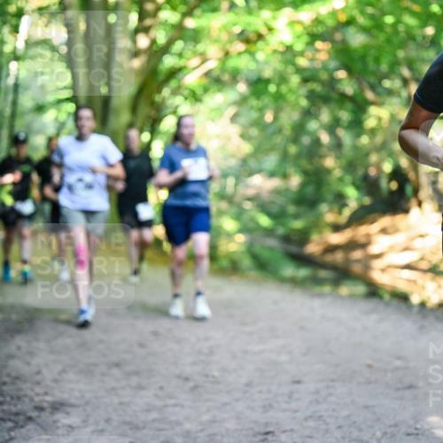 28.09.2025 - 33. Volkslauf durch das schöne Alstertal Dr. Thomas Lammeyer http://msf.ph/oto/8959405 28.09.2025 10:54:01 Laufen 3420 meine-sportfotos.de