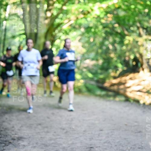 28.09.2025 - 33. Volkslauf durch das schöne Alstertal Dr. Thomas Lammeyer http://msf.ph/oto/8959407 28.09.2025 10:54:01 Laufen  meine-sportfotos.de