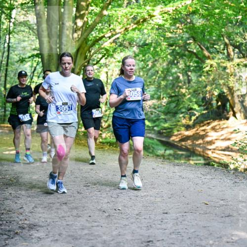 28.09.2025 - 33. Volkslauf durch das schöne Alstertal Dr. Thomas Lammeyer http://msf.ph/oto/8959408 28.09.2025 10:54:02 Laufen 3154, 13057, 3058 meine-sportfotos.de