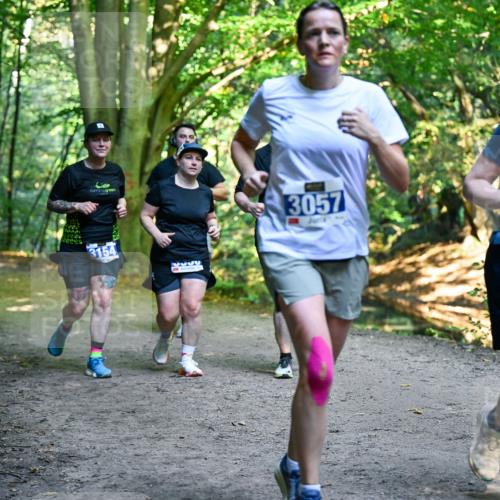 28.09.2025 - 33. Volkslauf durch das schöne Alstertal Dr. Thomas Lammeyer http://msf.ph/oto/8959426 28.09.2025 10:54:03 Laufen 3057, 3058, 3154 meine-sportfotos.de