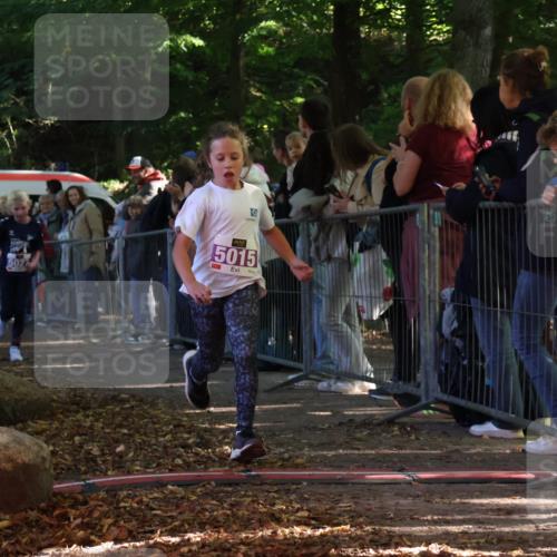 28.09.2025 - 33. Volkslauf durch das schöne Alstertal Strokosch-Dieckow http://msf.ph/oto/8959457 28.09.2025 10:45:53 Ziel 5015, 5016, 5027 meine-sportfotos.de