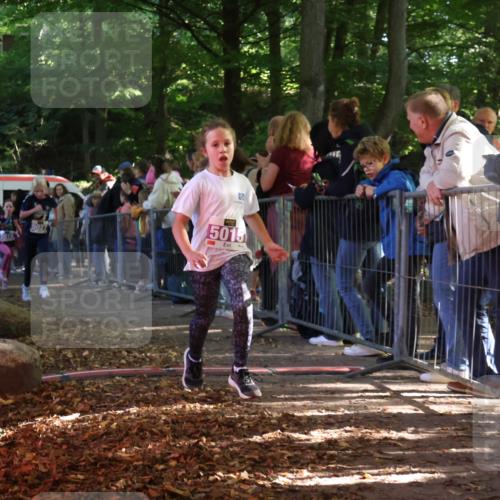 28.09.2025 - 33. Volkslauf durch das schöne Alstertal Strokosch-Dieckow http://msf.ph/oto/8959460 28.09.2025 10:45:53 Ziel 5015, 5016, 5027 meine-sportfotos.de