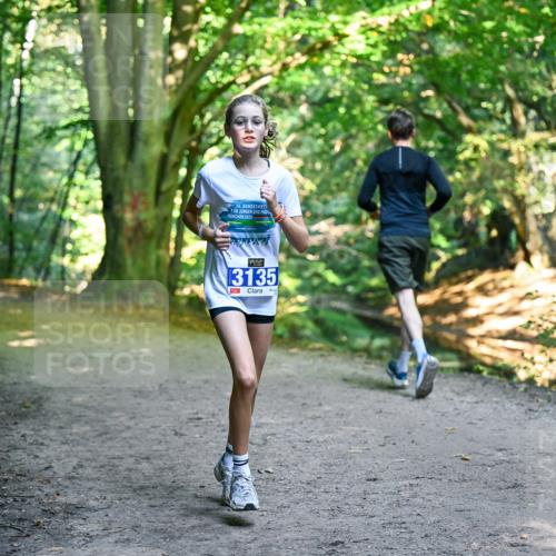 28.09.2025 - 33. Volkslauf durch das schöne Alstertal Dr. Thomas Lammeyer http://msf.ph/oto/8959464 28.09.2025 10:54:13 Laufen 6, 2025, 13135 meine-sportfotos.de