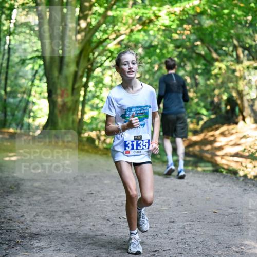 28.09.2025 - 33. Volkslauf durch das schöne Alstertal Dr. Thomas Lammeyer http://msf.ph/oto/8959466 28.09.2025 10:54:13 Laufen 56, 25, 3135 meine-sportfotos.de