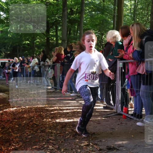 28.09.2025 - 33. Volkslauf durch das schöne Alstertal Strokosch-Dieckow http://msf.ph/oto/8959468 28.09.2025 10:45:54 Ziel 5015, 5016, 5027 meine-sportfotos.de