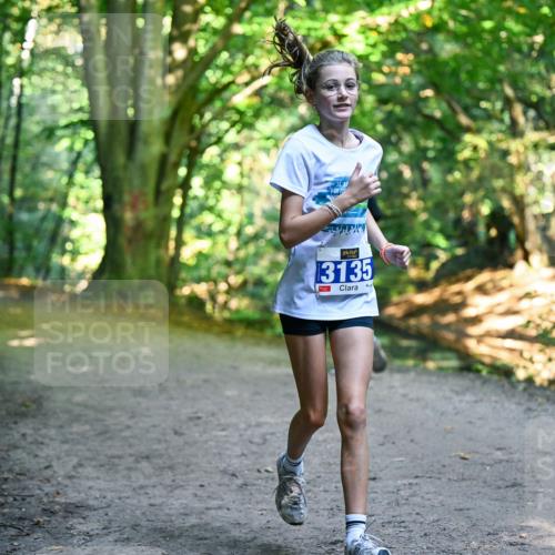 28.09.2025 - 33. Volkslauf durch das schöne Alstertal Dr. Thomas Lammeyer http://msf.ph/oto/8959469 28.09.2025 10:54:13 Laufen 3135 meine-sportfotos.de