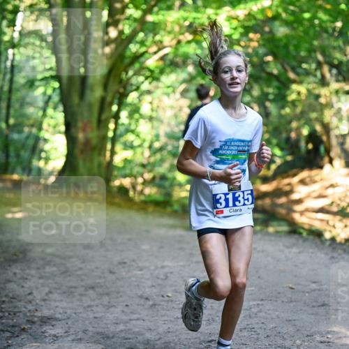 28.09.2025 - 33. Volkslauf durch das schöne Alstertal Dr. Thomas Lammeyer http://msf.ph/oto/8959470 28.09.2025 10:54:14 Laufen 56, 2025, 3135, 1 meine-sportfotos.de