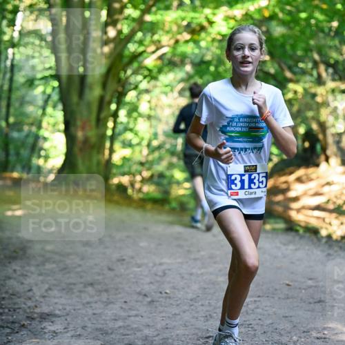 28.09.2025 - 33. Volkslauf durch das schöne Alstertal Dr. Thomas Lammeyer http://msf.ph/oto/8959471 28.09.2025 10:54:14 Laufen 56, 2025, 3135 meine-sportfotos.de