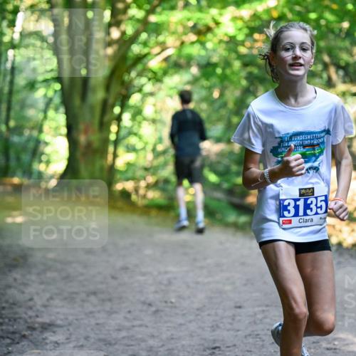 28.09.2025 - 33. Volkslauf durch das schöne Alstertal Dr. Thomas Lammeyer http://msf.ph/oto/8959473 28.09.2025 10:54:14 Laufen 56, 2025, 3135 meine-sportfotos.de
