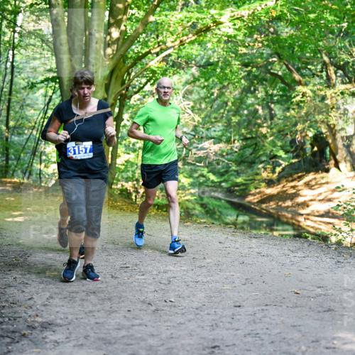 28.09.2025 - 33. Volkslauf durch das schöne Alstertal Dr. Thomas Lammeyer http://msf.ph/oto/8959475 28.09.2025 10:54:21 Laufen 3157 meine-sportfotos.de