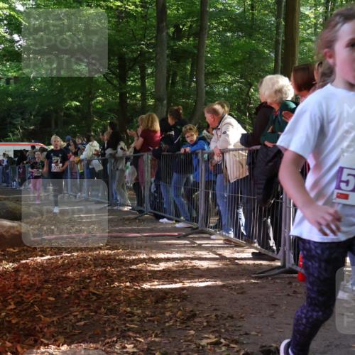 28.09.2025 - 33. Volkslauf durch das schöne Alstertal Strokosch-Dieckow http://msf.ph/oto/8959476 28.09.2025 10:45:54 Ziel 5015, 5016, 5027 meine-sportfotos.de