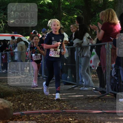 28.09.2025 - 33. Volkslauf durch das schöne Alstertal Strokosch-Dieckow http://msf.ph/oto/8959481 28.09.2025 10:45:55 Ziel 5016, 5027 meine-sportfotos.de