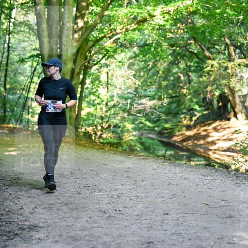 28.09.2025 - 33. Volkslauf durch das schöne Alstertal Dr. Thomas Lammeyer http://msf.ph/oto/8959492 28.09.2025 10:54:30 Laufen 30 meine-sportfotos.de