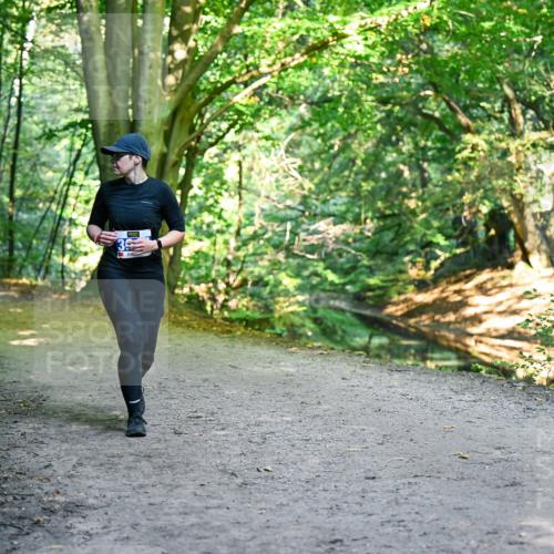 28.09.2025 - 33. Volkslauf durch das schöne Alstertal Dr. Thomas Lammeyer http://msf.ph/oto/8959493 28.09.2025 10:54:30 Laufen  meine-sportfotos.de